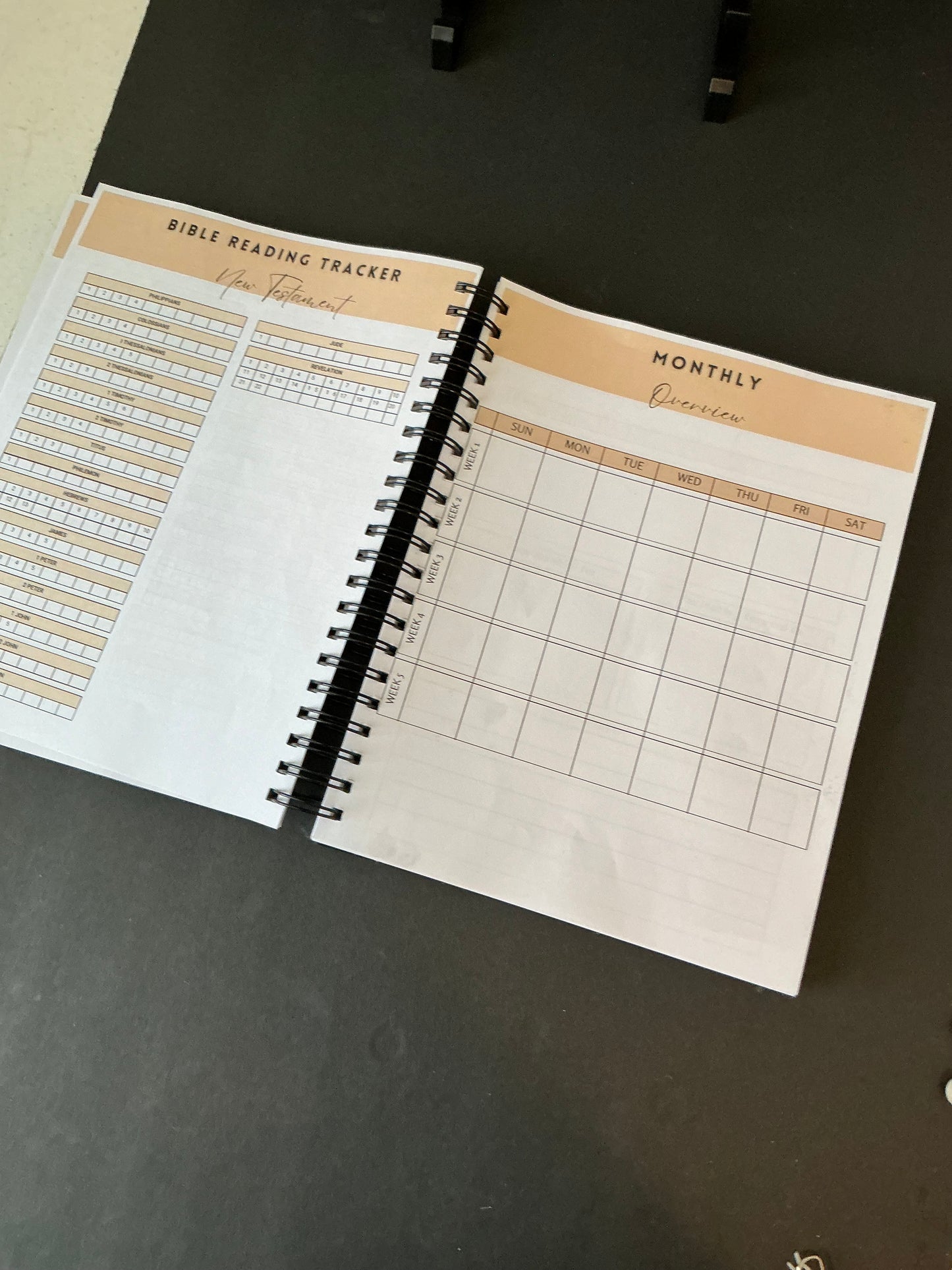 Warrior Men's Daily Prayer Journal