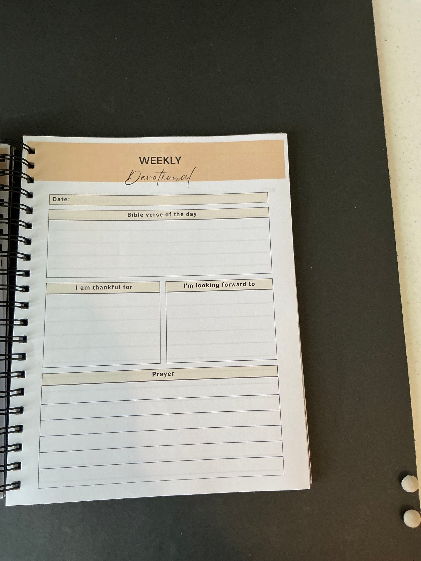 Warrior Men's Daily Prayer Journal
