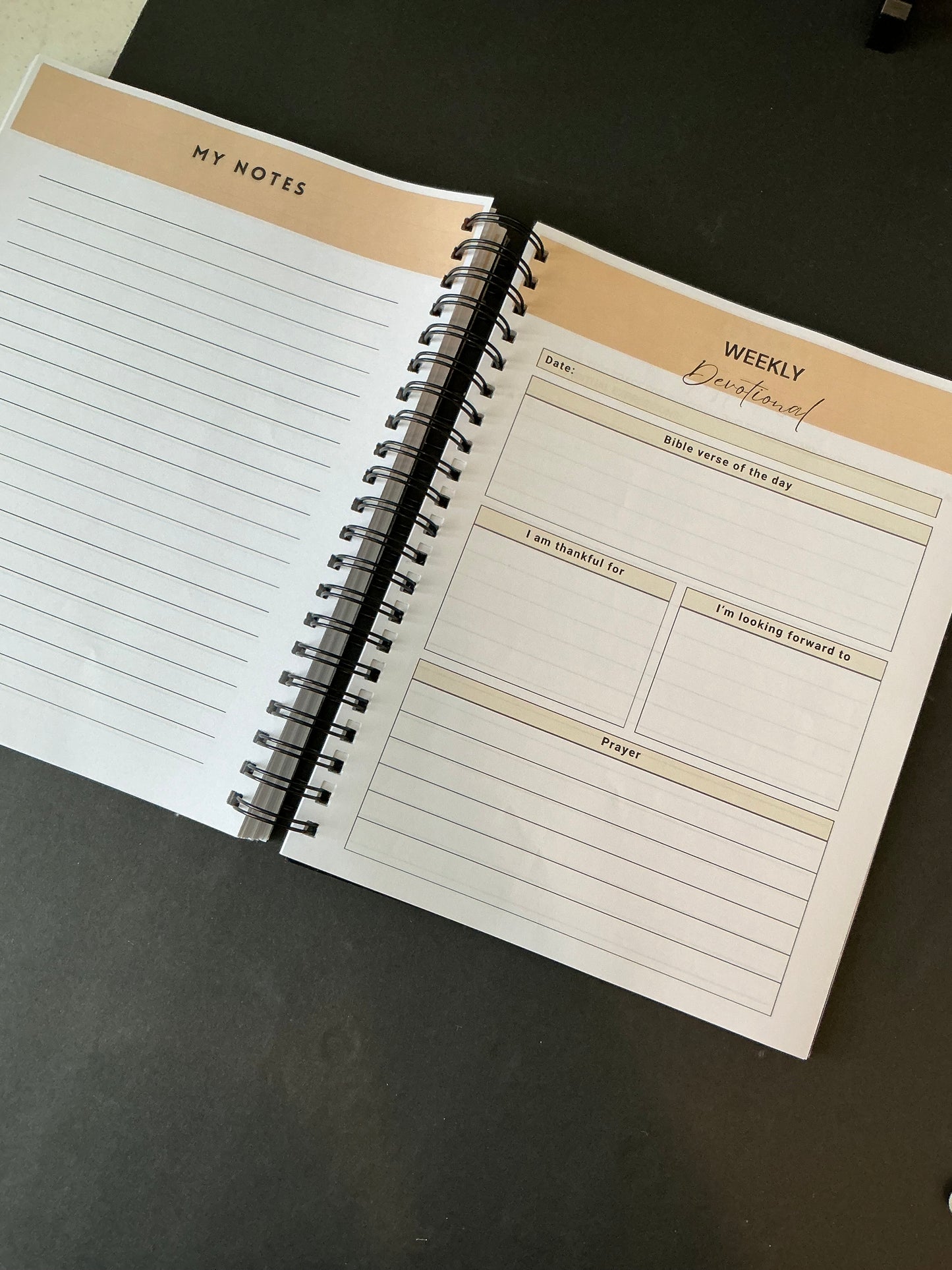 Warrior Men's Daily Prayer Journal