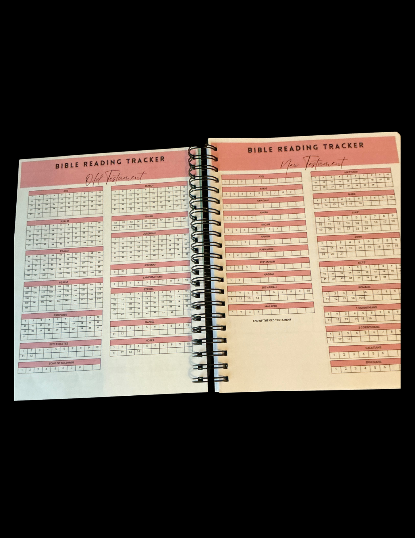 "She Is" Womens Daily Prayer Journal