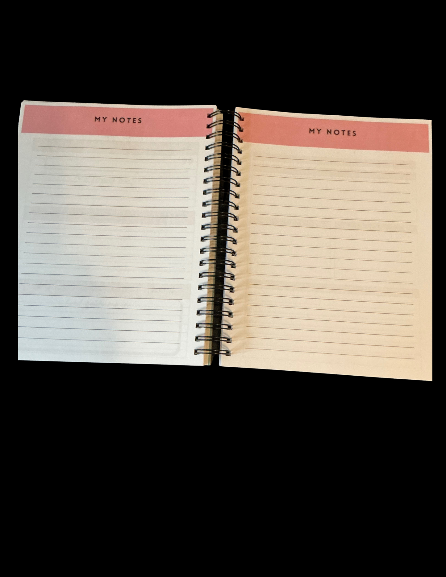 "She Is" Womens Daily Prayer Journal