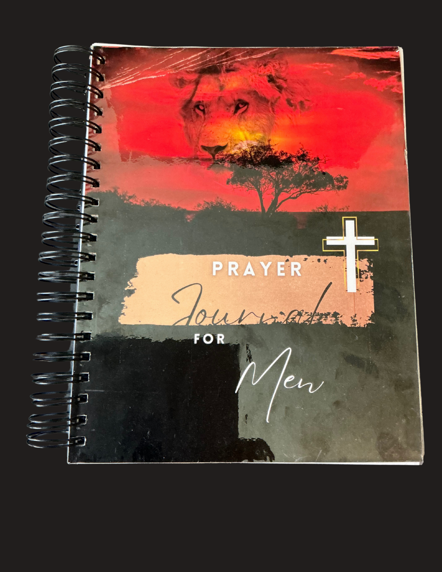 Warrior Men's Daily Prayer Journal